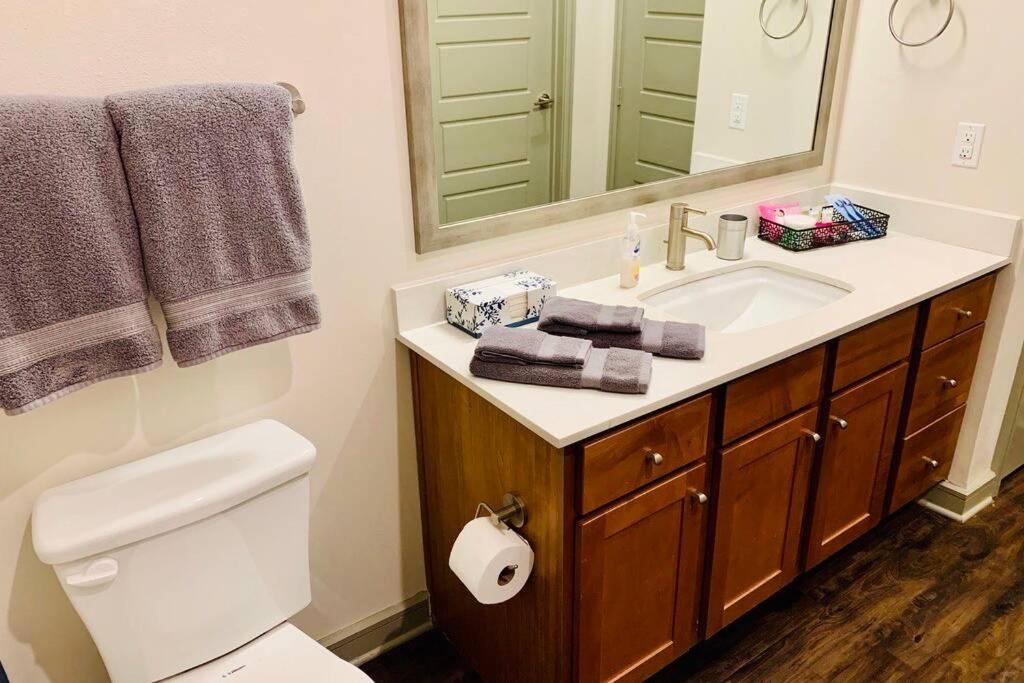 Apartament New Apart Downtown - 5min Stadium/Parks/Museum Houston Zewnętrze zdjęcie